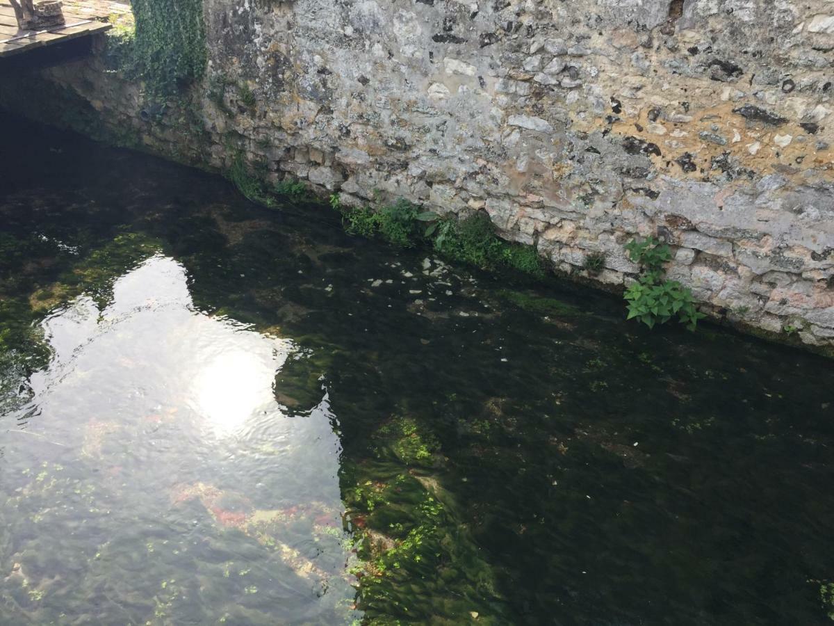 Le Moulin De La Cote Chambre D'Hotes Saint-Vigor 외부 사진